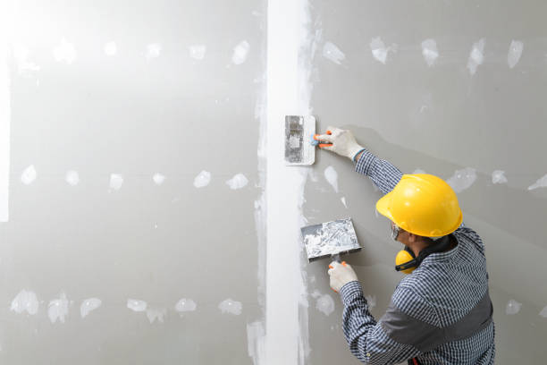  Church Hill, TN Mold Removal Pros