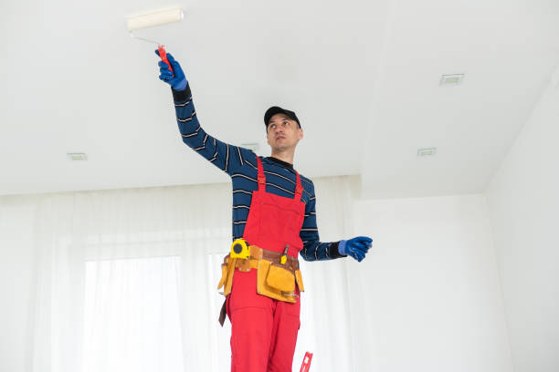 Best Residential Mold Inspection & Testing  in Church Hill, TN