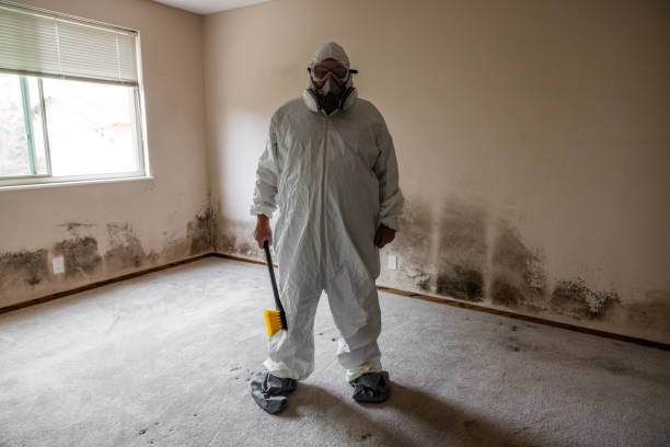 Best Industrial Mold Remediation  in Church Hill, TN